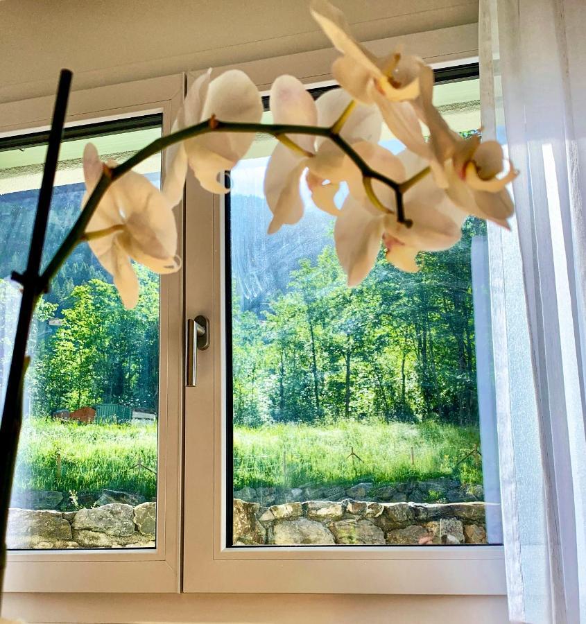 Bueelbad - Relax Holiday Apartment Kandersteg Buitenkant foto